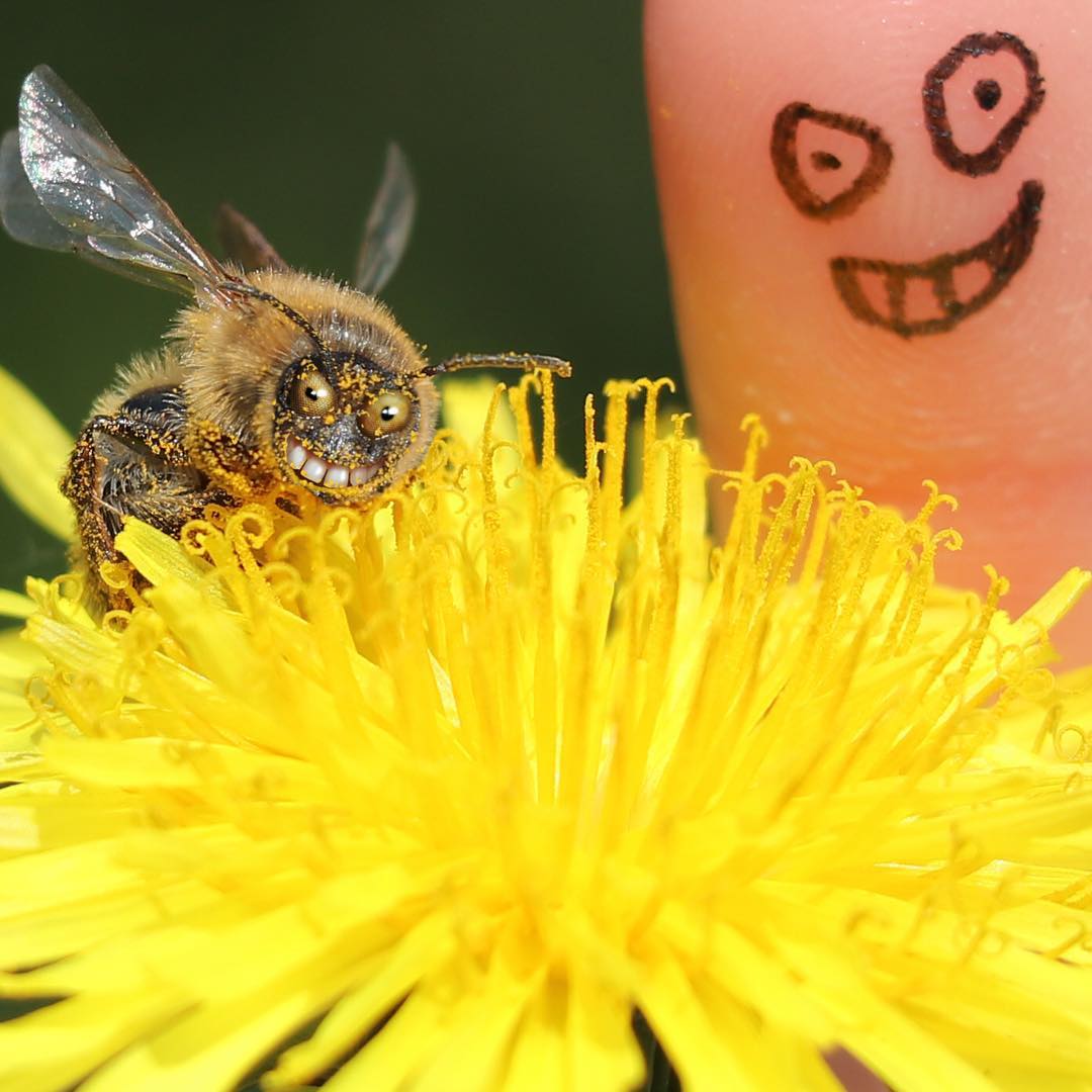نقاشی کودک از زنبور