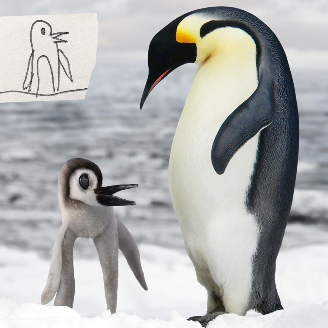 این بچه پنگوئن نسبتا به خود واقعیش نزدیکه.