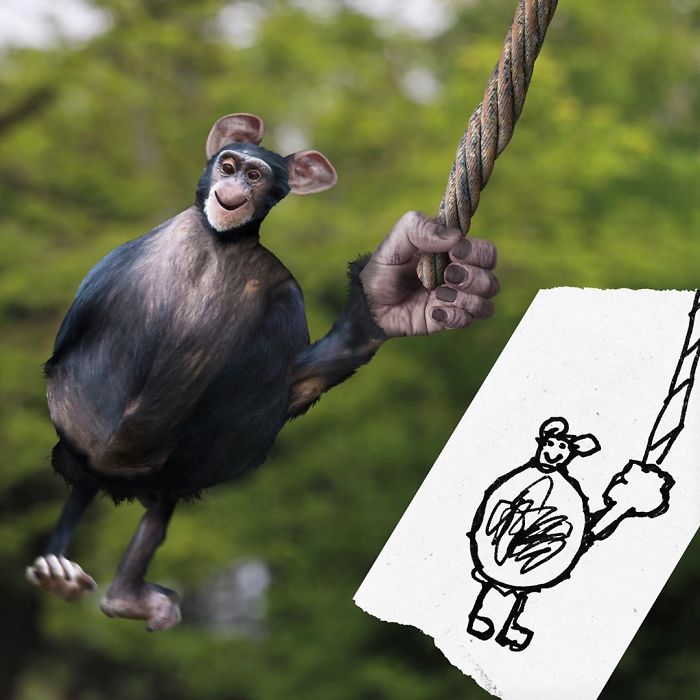 میمون بازیگوش