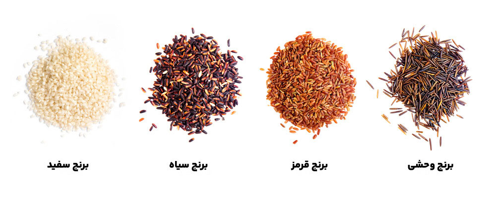 انواع برنج