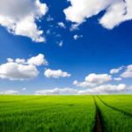 چرا آسمان آبی است؟