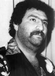 شاهرخ ضرغام